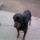 Fenykep0189_1621980_1921_t