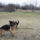 Jatek_4_1621233_8296_t