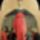 Maria_oltalma_alatt_1621478_7614_t