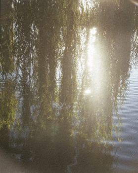 Naplemente_gif_414