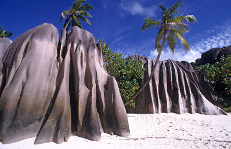 Seychelles - szk. 40
