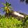 Seychelles__szk_56_1621083_9711_t