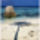 Seychelles__szk_62_1621089_8538_t