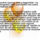 Viewer-008_1621407_2292_t