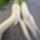 556175_455850391154113_1982209900_n__szexikep_1622210_9439_t