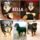Bella__1622010_4712_t