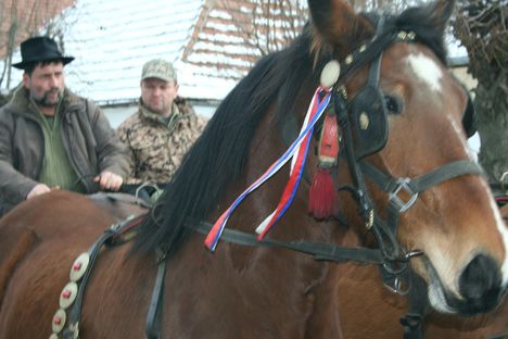 VI. Pilisi Kavalkád-Fánkfesztivál (oslovma.hu) 10