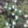 Nemsokara_mehetunk_a_szabadba_130217_1_1625779_6200_t