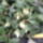 Nemsokara_mehetunk_a_szabadba_130217_2_1625780_1723_t