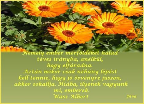 Wass Albert:Nemely ember ...