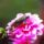1_1626707_1342_t