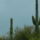 Arizona-001_1627795_7225_t