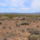 Nevada_es_arizona_hataran-005_1627828_6316_t