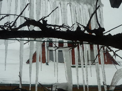 Sűrű függöny jégből. 2013.jan.21