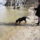 Elso_seta_a_duna_partjan_2_1620731_3185_t
