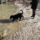 Elso_seta_a_duna_partjan_3_1620728_9674_t