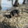 Elso_seta_a_duna_partjan_5_1620726_2551_t
