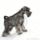 Miniatureschnauzerthumb18360122_1620137_1978_t