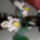 Orchidea_1-001_1062537_1837_t