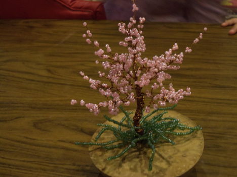 Virágzó barackfa