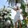 Coted_azur_168_1631980_5881_t