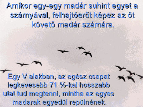 Tanulság