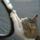 Viewer-023_1631731_8903_t