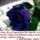 Jol__csak__a_szivevel_lat__az__ember_1632955_2134_t