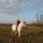 Dscn2122_1633172_8825_t
