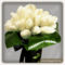 feher_tulipan_csokor__