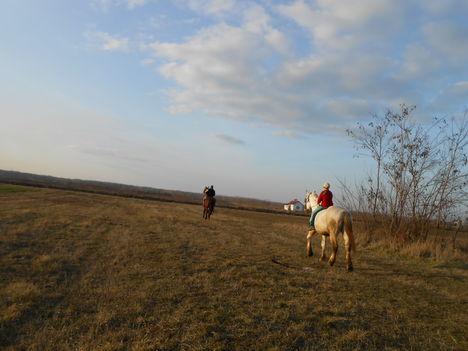 ló 6