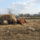 Lo_8-002_1633101_3407_t