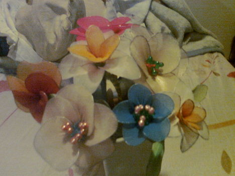 virágaim 11