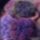 9542637087741m750x740_1636237_3605_t