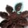 9542639518723m750x740u2150f_1636232_9664_t