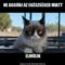 Grumpy Cat 1