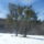 Meg_telen_is_zold_1636757_5857_t