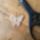 P1210785z_1636155_8054_t