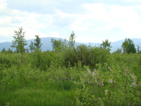 Hargita megye természetvédelmi területei 6