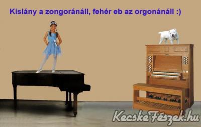 12729-kislany-a-zongoranal