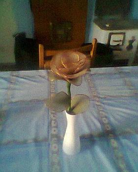 első rózsám