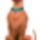 Scooby_163961_64836_t