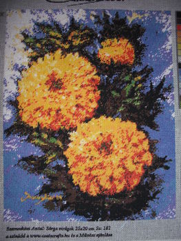 Szamosközi: Sárga virágok
