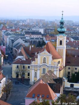 A Karmelita templom fentről