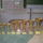 Kupak_1641554_8623_t