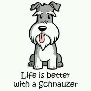 Az élet jobb egy schnauzerral! :)