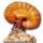 Dxnganoderma_25_1642108_7778_t