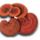 Dxnganoderma_31_1642114_7723_t