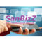 SanbizZ - Mert a mobilforradalom már zajlik.