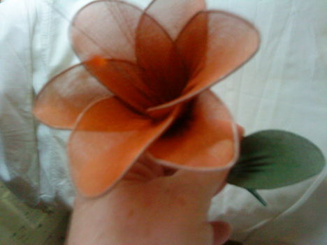 harisnyaviragok-nylon flower 13